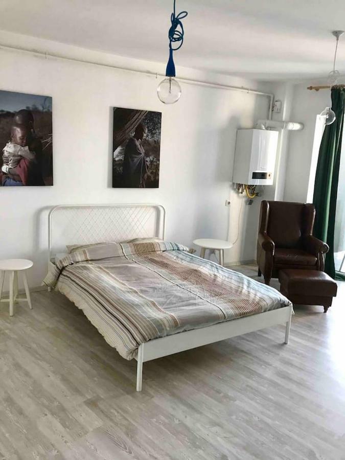 Beautiful Studio Near The Center Of Cluj Экстерьер фото